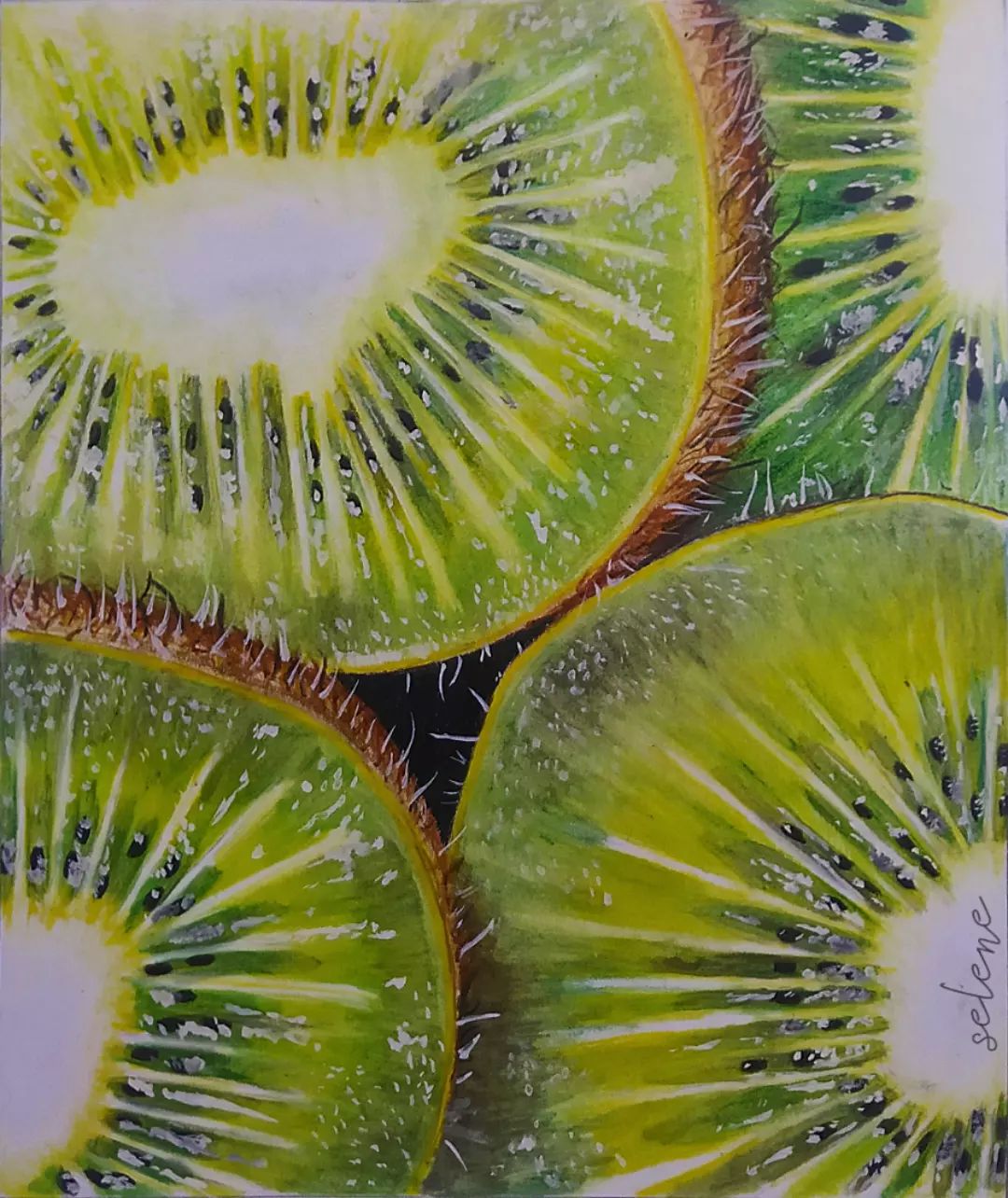 KIWI 🥝<br/>| Using faber castell water colored pencil in vellum paper |